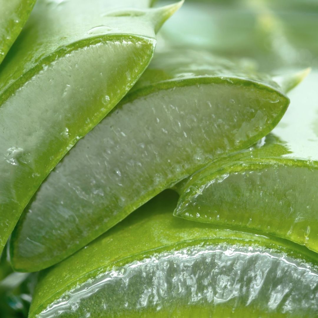 Organic Aloe Vera Soap