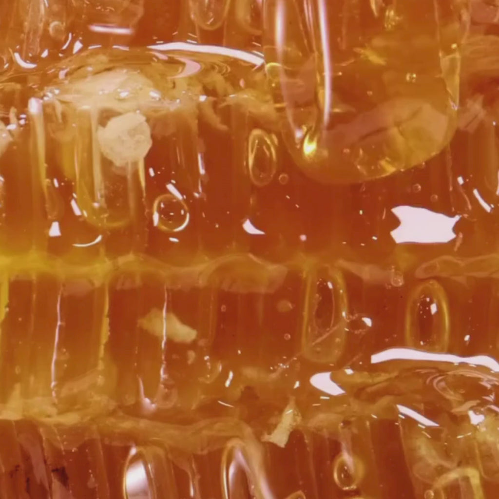 Pure Honey Soap